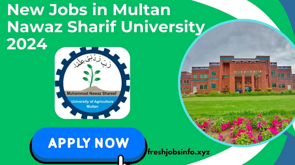 Jobs in Multan
