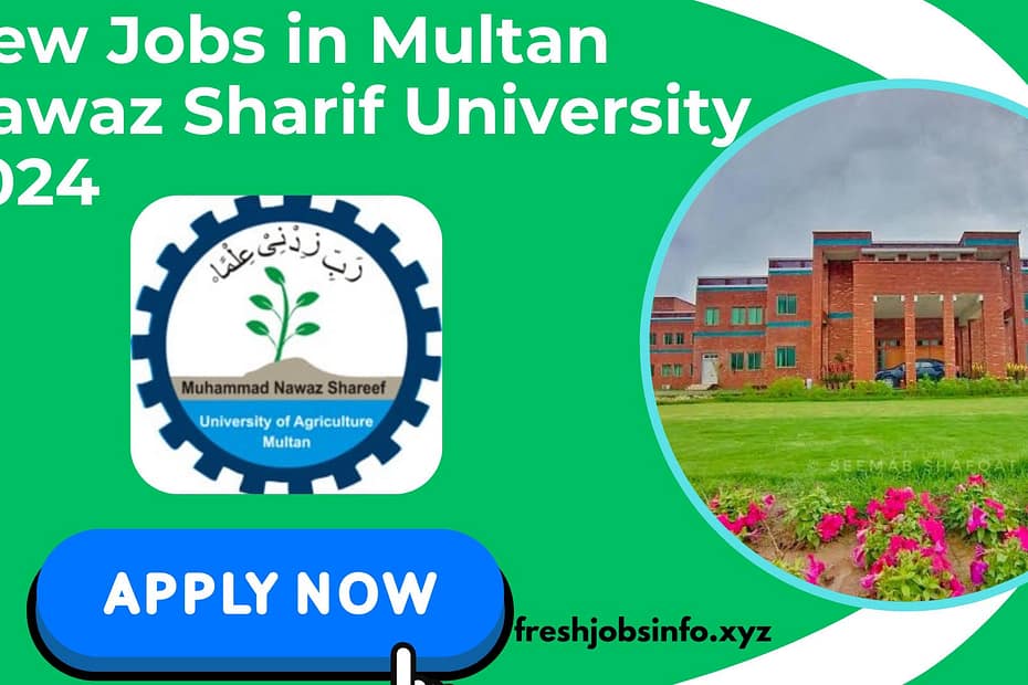 Jobs in Multan