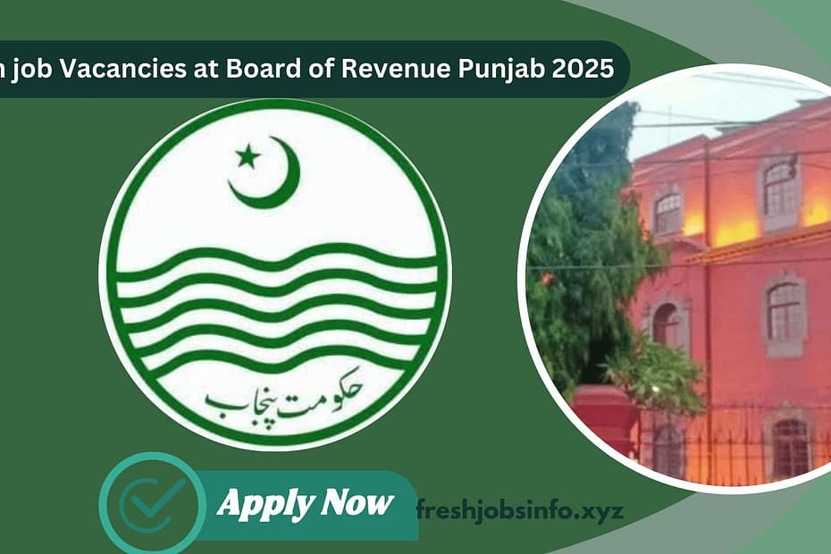 Job Vacancies at Board of Revenue